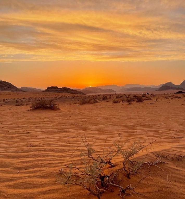 Wadi Rum Nature Εξωτερικό φωτογραφία