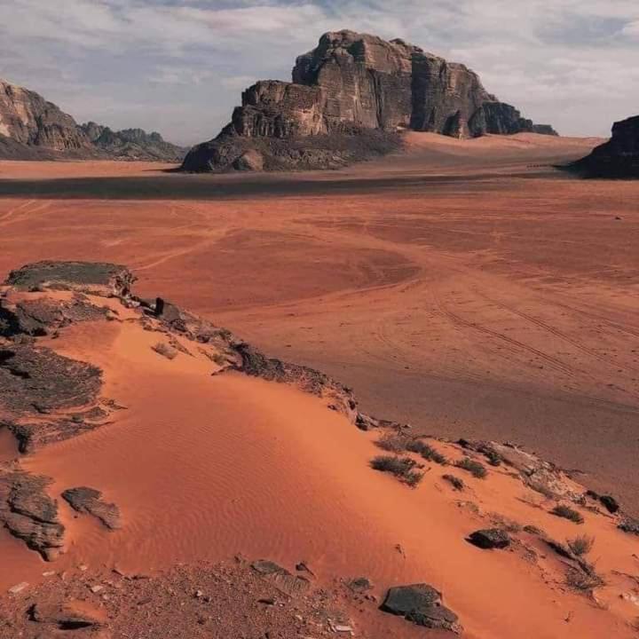Wadi Rum Nature Εξωτερικό φωτογραφία