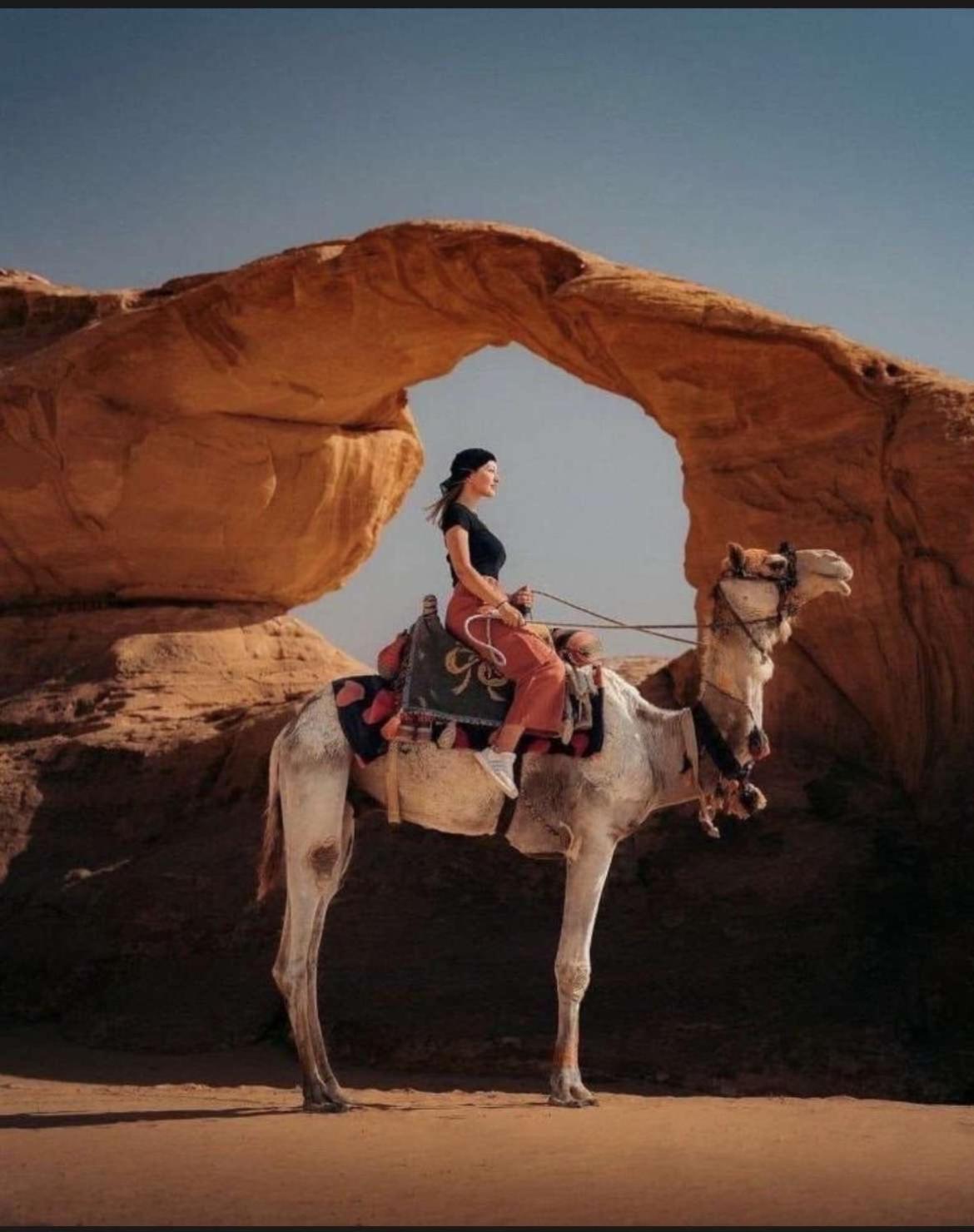 Wadi Rum Nature Εξωτερικό φωτογραφία